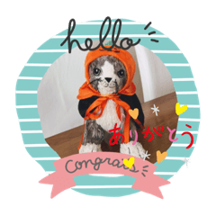 nanami_20191111093506