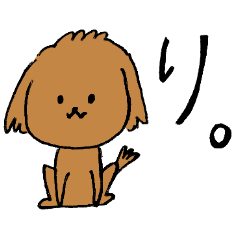 Brown Toy poodle loose every day