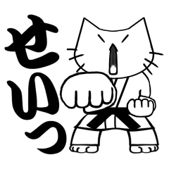 karate cat !