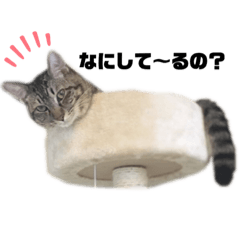 KICHIGATUKUTTA