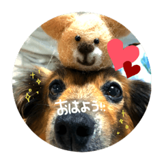 omochi_20191117030946