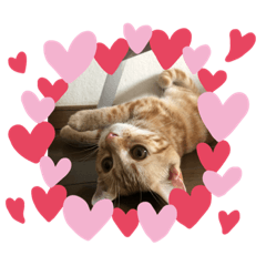 akiko_20191117055643