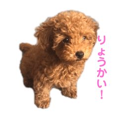 Johkon_206464641064