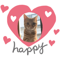 akiko_20191117065644