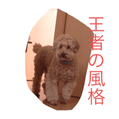 haruna_20191117004026