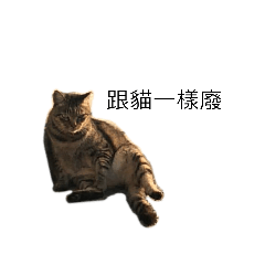 cheng 2