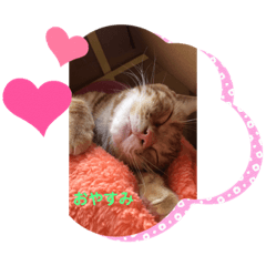 akiko_20191117122746