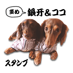 GINGA & COCO Sticker