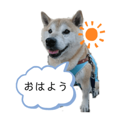 kaho_20191116233450