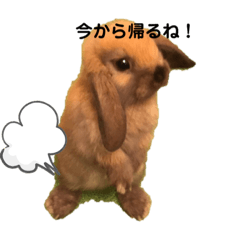 kurumi_20191117155448