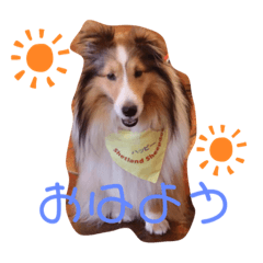 jun_20191117152703