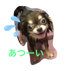 Koharunrun1