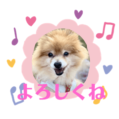 yukari_20191117173750