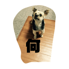 hayato_20191117180937