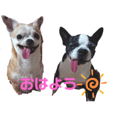 Mina_20191117174559