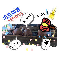 haruna_20191117190624