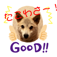 akane_20191117200516