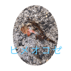 Kaito_20191117195008