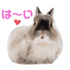 Fluffy Miori