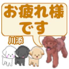 Kawazoe's. letters toy poodle
