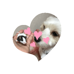 MEGUMI_20191118010855