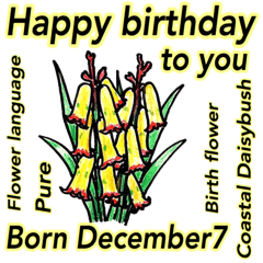 December, birthday flower language