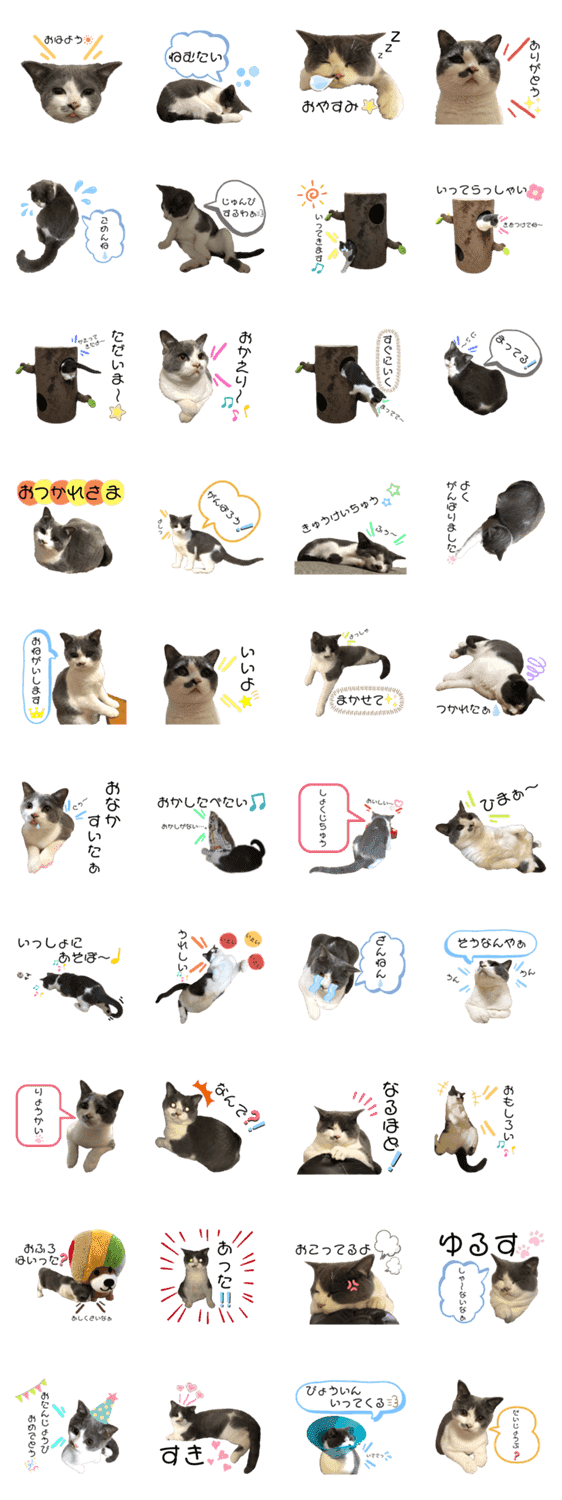 猫の小鉄 Lineクリエイターズスタンプ Stamplist 猫の小鉄 Lineクリエイターズスタンプ Stamplist