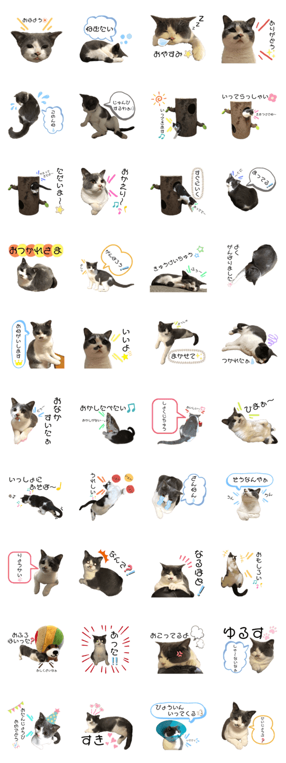 猫の小鉄 Lineクリエイターズスタンプ Stamplist