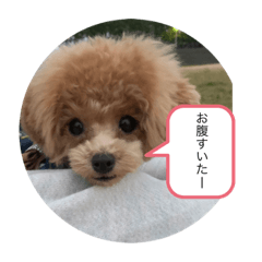Rino_20191116195919