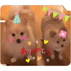 seira_20191118101910