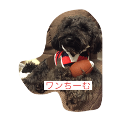 chiharu_20191118010325