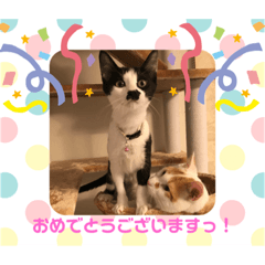takashi_20191116195258