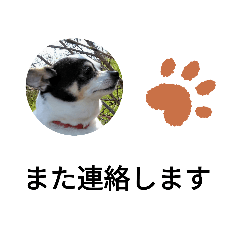 ayumi_20191118135708