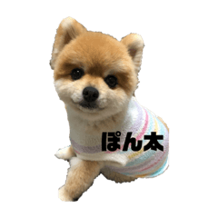 ponta_20191118180333