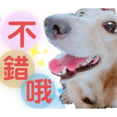 我是可愛的豆豆2.0