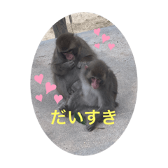 moko_20191118203715