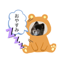 mako_20191118201738