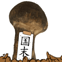 松茸研究家国末さんのマツタケ