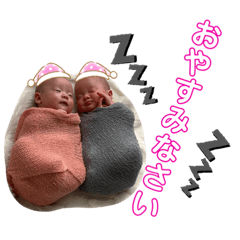 mako_20191119005355