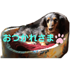 tomomi_20191119081702