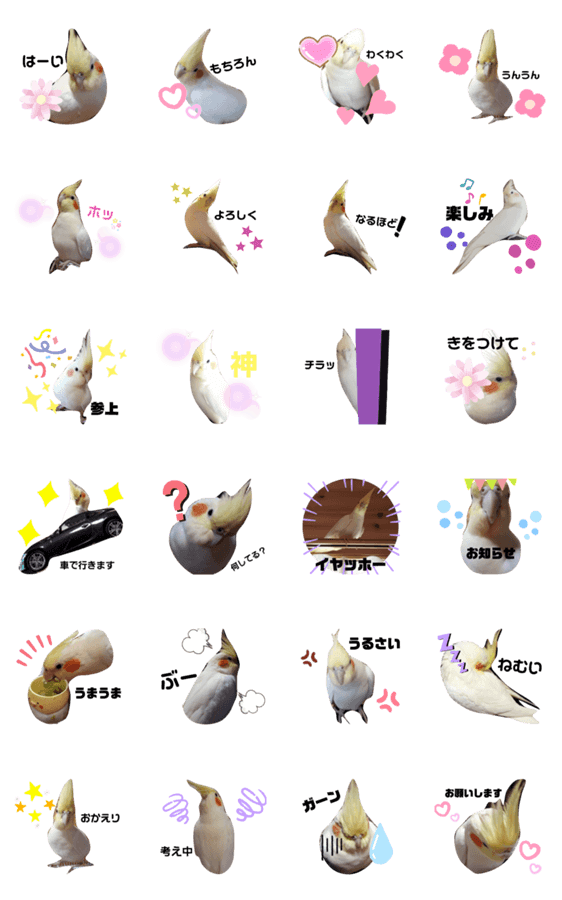 オカメインコのあおちゃん Lineクリエイターズスタンプ Stamplist オカメインコのあおちゃん Lineクリエイターズスタンプ Stamplist