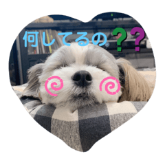 AYUMI_20191119114329