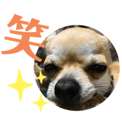 Junko_20191119010710