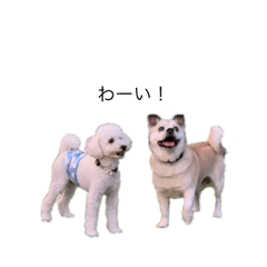 goo_20191118225535