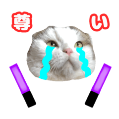 karinsun_20191118153610