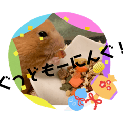 akane_20191117220539