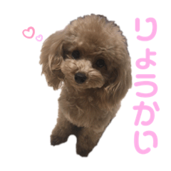 Akane_20191119055347