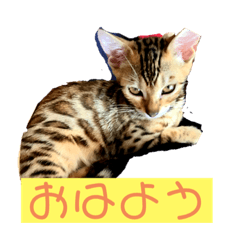 rina_20191117213159