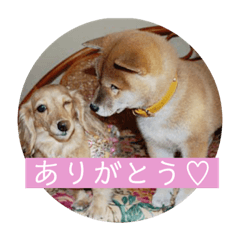 risa_20191117222816