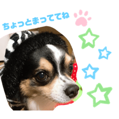 haruto_20191118033213